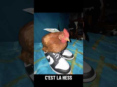 Re les gars 😁🔥 #jeveuxuntacosxxl #brawlstars #mrbeast