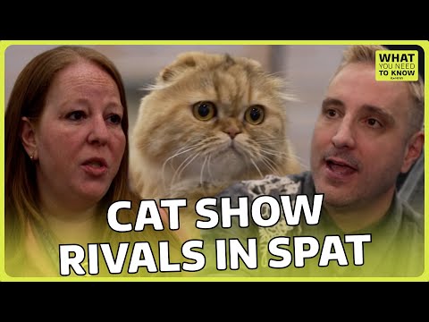 Claws out: the cat shows spat that's costing customers | What You Need To Know | ITV News