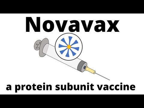 How Novavax -the new protein subunit vaccine- is produced and how it works
