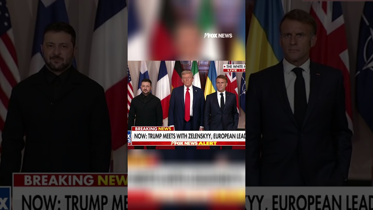 WATCH: Trump, Zelenskyy and European leaders take group photo #trump #zelensky #shorts #leader