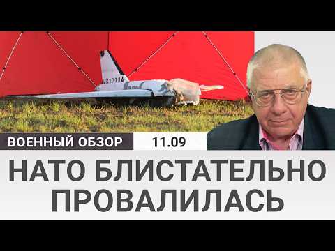 Александр Плющев: Ауслендер: Теракт в Иерусалиме, признание Палестины и скандал с Гретой Тунберг