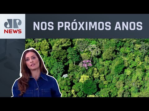 América Latina terá mais de 15 milhões de vagas na área ambiental; Patrícia Costa analisa