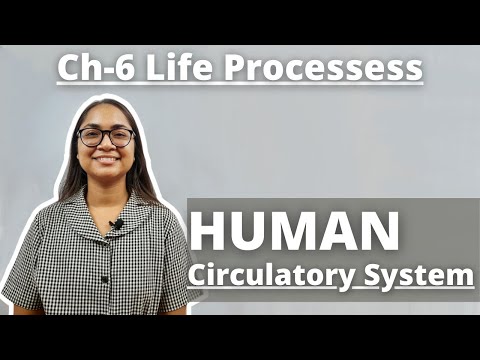 Ch-6 ‘Human Circulatory System’ L6 Life Processess|| Class-10 Science Ch-6 Life Processess
