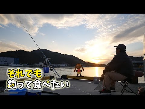 苦労している魚をスーパーで見つけ、嫌になったけど思い直した件