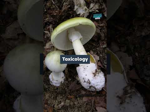 Australian host of 'poisoned' mushroom lunch that left three dead charged with murder #ITVNews