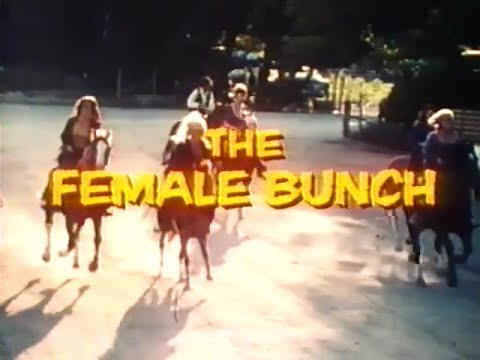 The Female Bunch'