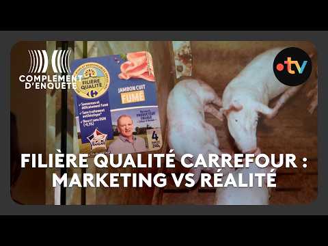 Les dessous d'un élevage de la Filière Qualité Carrefour - Complément d'enquête