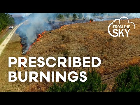 screenshot of youtube video titled Prescribed Burnings | From the Sky