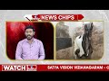 ఆ మేక ధర ఏడు లక్షలు..ఎందుకంత స్పెషల్? | Goat Sold For Rs.7 Lakhs in Bhopal | News Chips | hmtv  - 01:42 min - News - Video