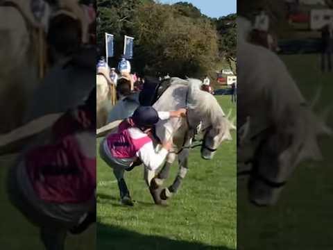 Whoopsies 🤣 #horse #equestrianjourney #horseenthusiast #haul #funnyhorsefails