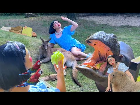 帰ってきたブリアナ・ギガンテ [コラボ/ 長崎バイオパーク@biopark ]