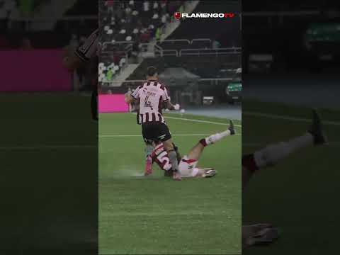 NOSSO PIT VOLTOU 5️⃣ #flamengotv #flamengo
