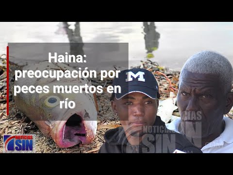 Haina: Preocupación por peces muertos en río