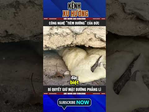 CÔNG NGHỆ “TIÊM ĐƯỜNG” CỦA ĐỨC – BÍ QUYẾT GIỮ MẶT ĐƯỜNG PHẲNG LÌ