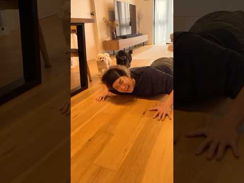 可愛すぎるんだけど...