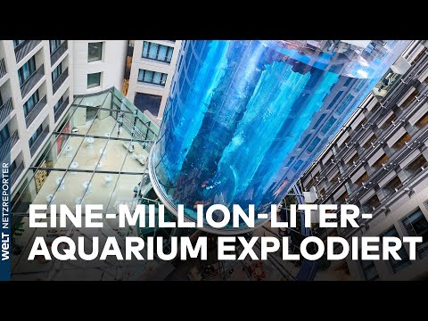 UNFALL IM SEA-LIFE: Riesen-Aquarium 