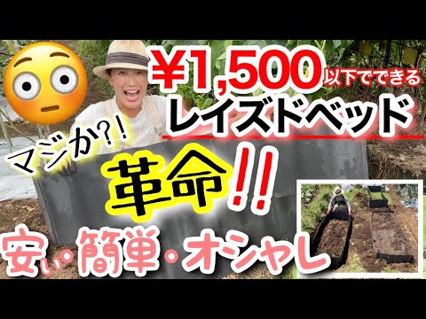 【驚愕‼️1,500円以下で完成】ホームセンターの「〇〇」で作る！安い・おしゃれ・簡単なレイズドベッドの作り方/ 組み立ては15分もあれば余裕で完成✨/ 使ってみた使用感も正直レビュー【ガーデニング】