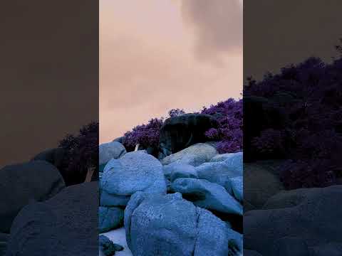 Best Romantic Status Video | Tu Qatil Tera Dil Qatil |Relaxing Sleep video #nature #lofimusic #music