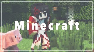 【Minecraft】畑作ったり整備したり！【雑談】