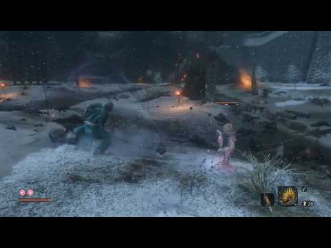 O'Rin of the Water VS Ashina Elite