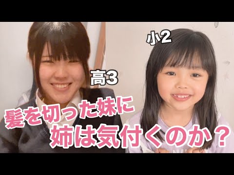 【歳の差姉妹】らんちゃん髪の毛をバッサリ切りました！！ねぇね気付く？気付かない？？（2025.5.24）