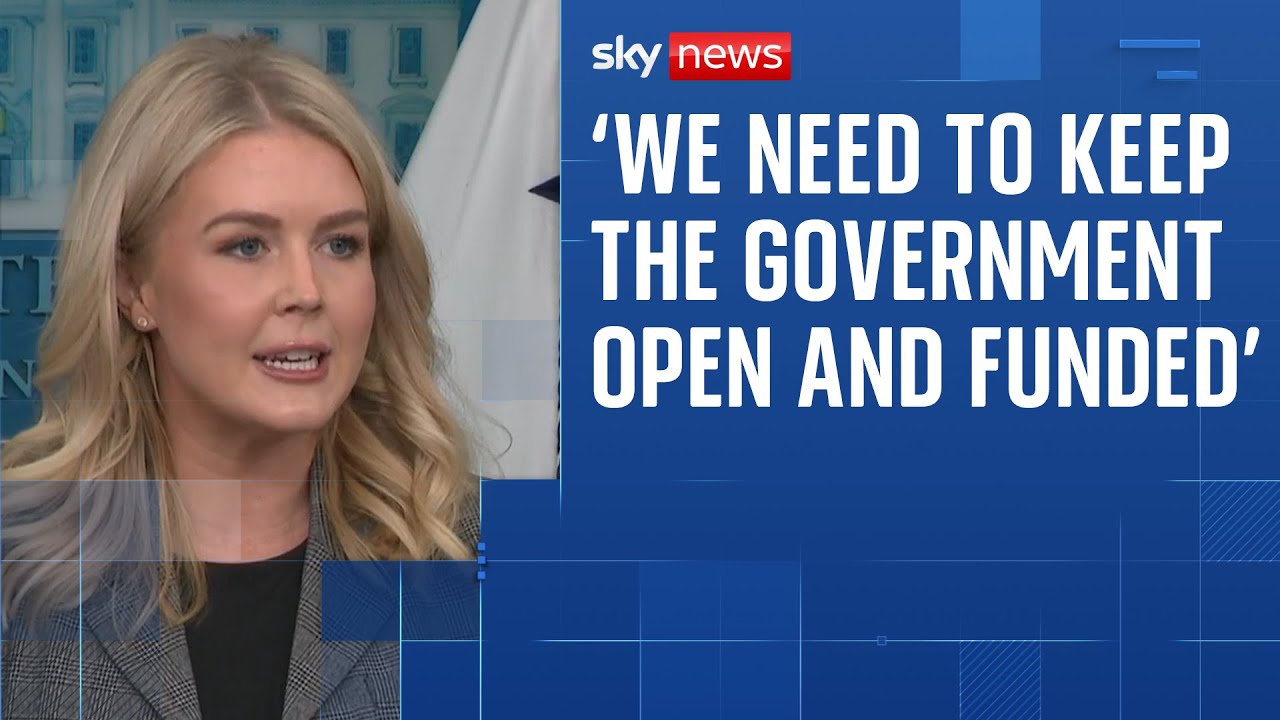 Karoline Leavitt: 'Democrats need to stop sabotaging our country'