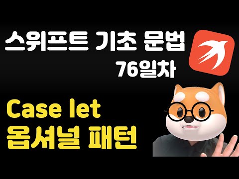 스위프트 기초 문법 - 76일차 / case let 옵셔널 패턴