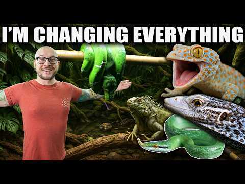 I'm Changing EVERYTHING! New Species, New Enclosur Get an exclusive 15% discount on Saily data plans! Use code REPTILES at checkout. Download the Saily