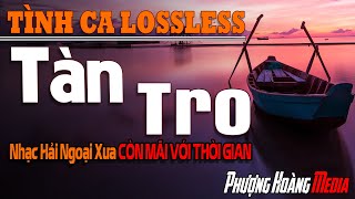 Tàn Tro - Khúc Nhạc Tình Ca Còn Vương Vấn   | Nhạc Hải Ngoại Xưa Bất Hủ Vượt Thời Gian