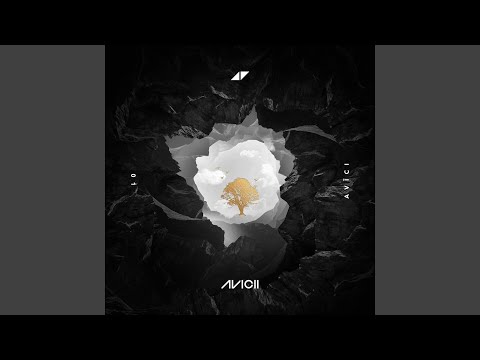 So Much Better (Avicii Remix)
