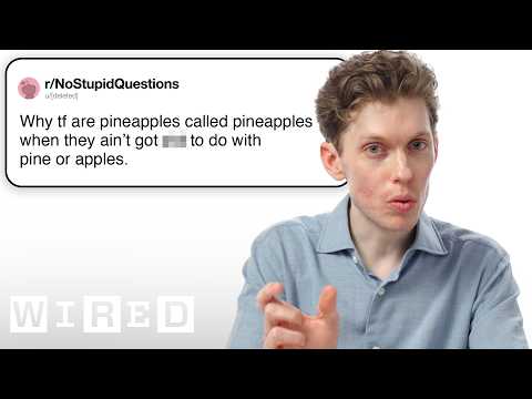 Language Expert Answers English Questions | Tech Support | WIRED