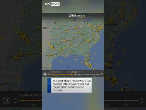 American Airlines forced to ground flights