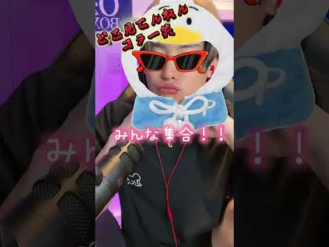 ちぇるがアヒルのペックルに似てた件 #ちぇる #アヒルのペックル#ペックル#沼顔