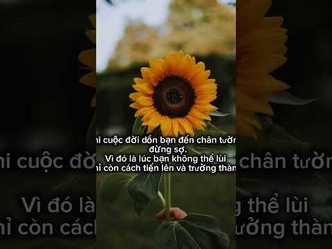 ngày 28 tháng 10, 2025