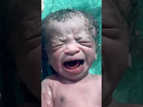 😍 Little Baby is Like 👍 So Cute Reactions Ever! #cutebaby #bantubabyvlogs #cute