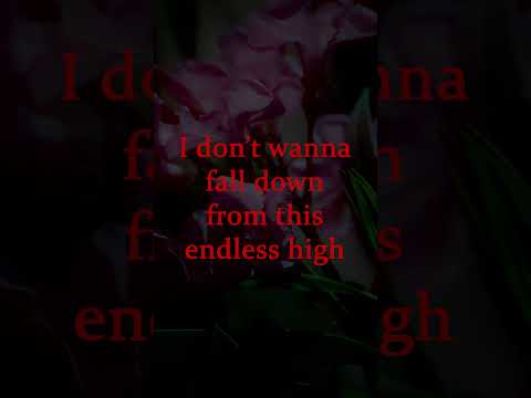 Lio Lai - Be My Forever #music #ytmusic #song #lyrics