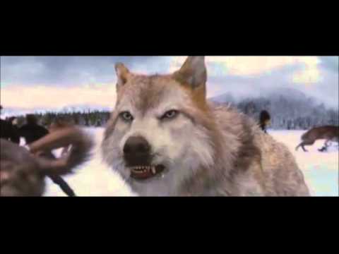 Twilight 5 : La bataille Finale (HD)