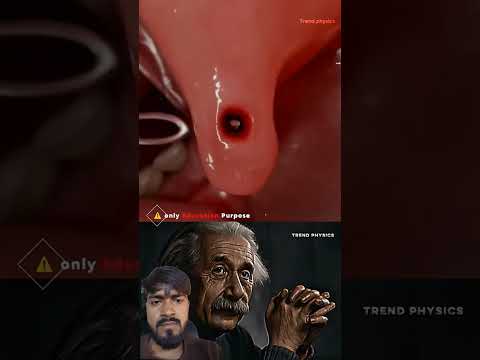 #animation #ytshorts #trendingshorts