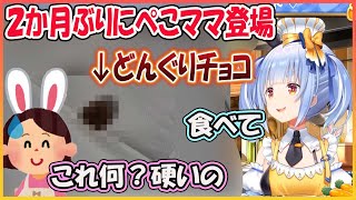 2か月ぶりにぺこママ登場　犠牲者が続出した手作りどんぐりチョコを試食させるぺこら【兎田ぺこら/hololive】【ホロライブ切り抜き】