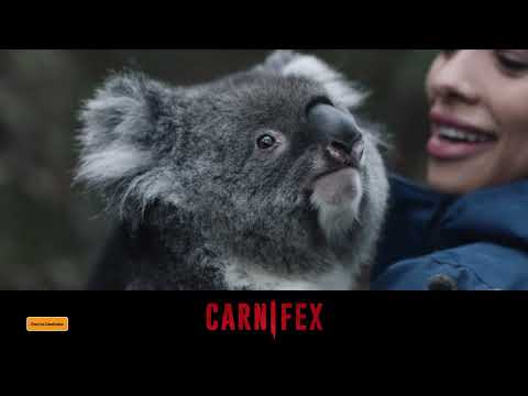 Carnifex'