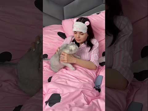 cat #cat #funny #comedy #animals #pets #cute #home