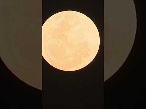 Supermoon lights up sky in Johannesburg