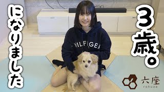 動画サムネイル