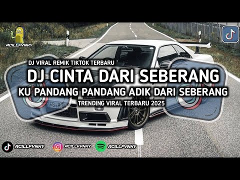 DJ CINTA DARI SEBERANG VIRAL TIKTOK | DJ KU PANDANG PANDANG ADIK DARI SEBERANG REMIX TERBARU 2025