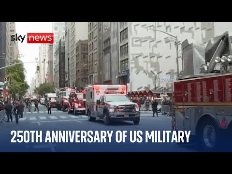 Veterans Day Parade in NYC