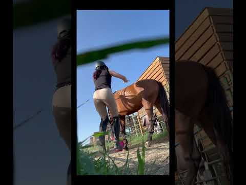 guys i love conan gray #conangray #horse #horseriding #horsebackriding #myworld