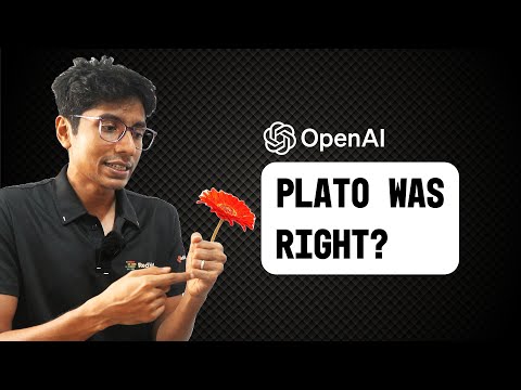 Philosophy meets AI. Platonic representations could be real...