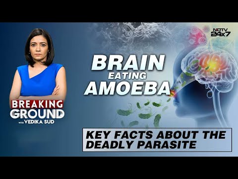 Kerala Amoeba Cases | Brain-Eating Amoeba: Key Facts About The Deadly Parasite
