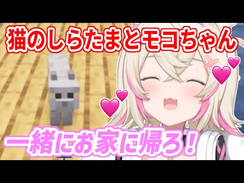 マイクラで出会った猫と仲良くなって家族にするモコちゃん【ホロライブ切り抜き/FUWAMOCO/フワモコ】