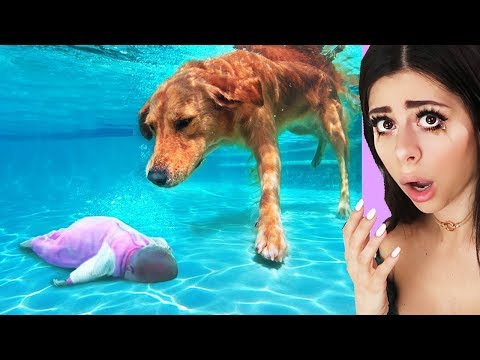 Unbelievable Animals That Saved People's Lives